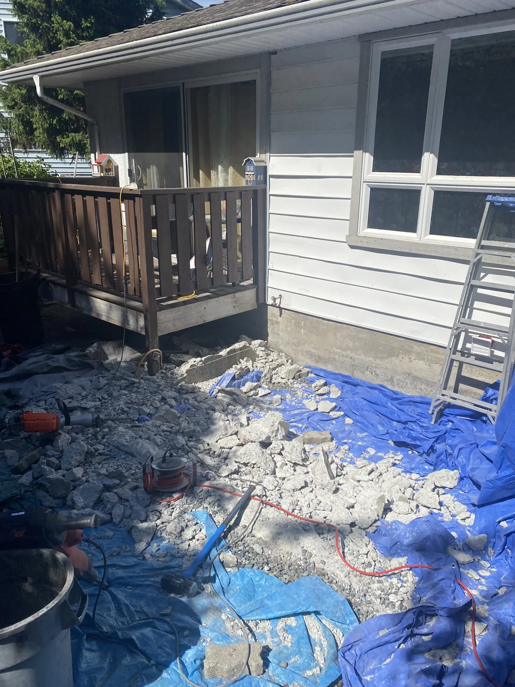 Backyard after cleanout