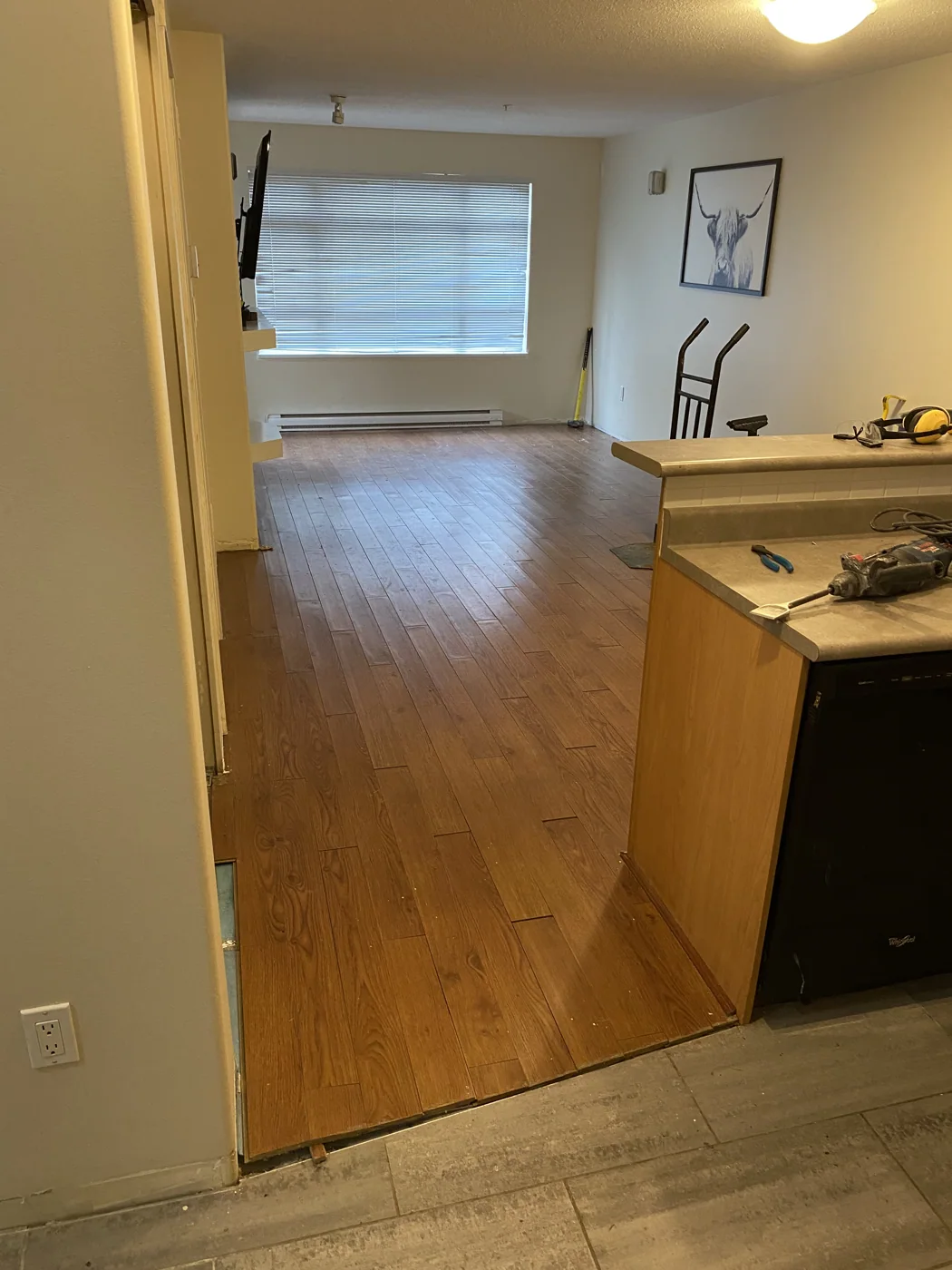 Room before vinyl flooring removal